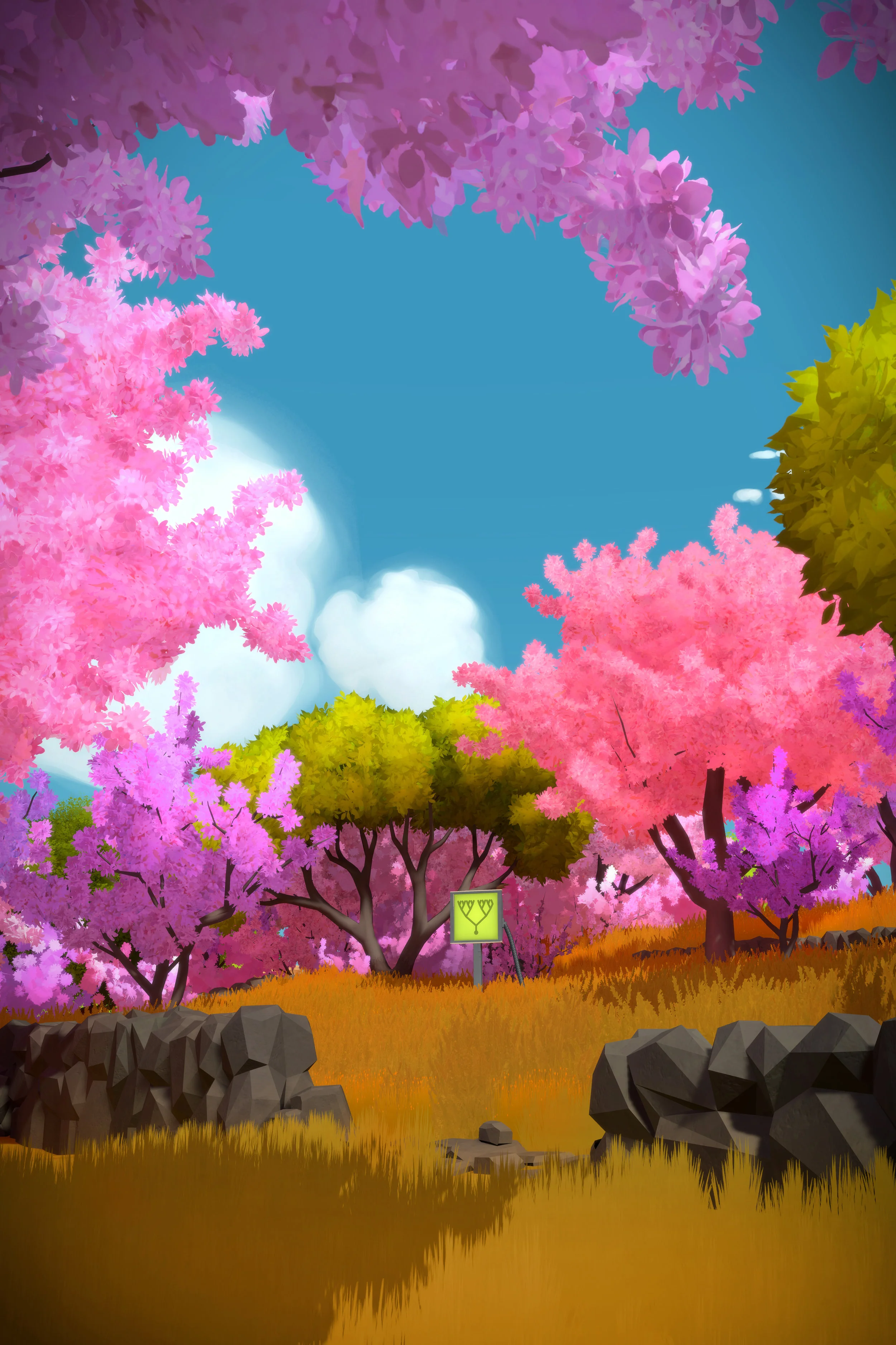 The Witness: Designing Video Game Environments — Fletcher Studio